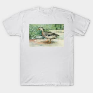 Mallard Duck Digitally Enhanced T-Shirt